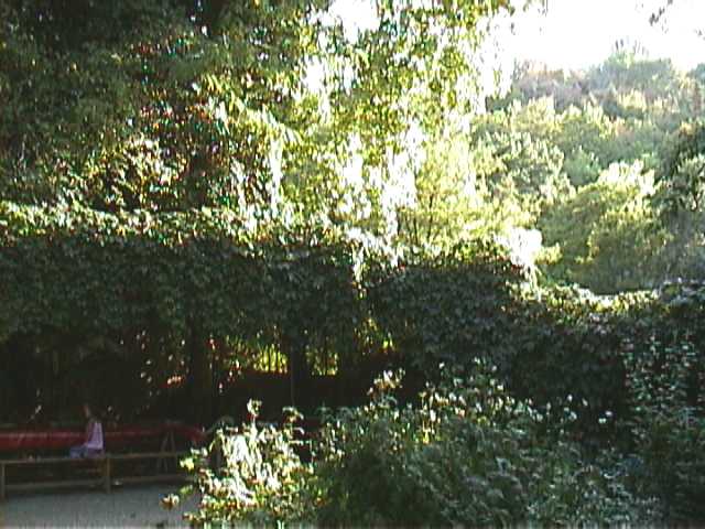 Dsc00511.jpg (51098 octets)